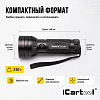 Фонарь ультрафиолетовый, 51 светодиод iCartool IC-L201